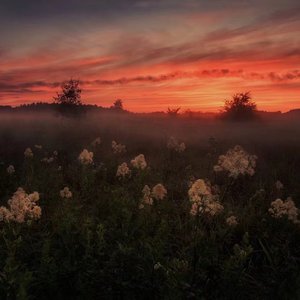 农村乱伦美女做爱
